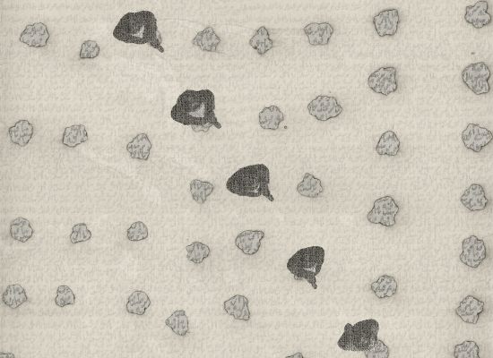 Nazar Yahya / Straight path ( Surat Mustaqem), Inkjet Digital pigment on fine art paper, 2011